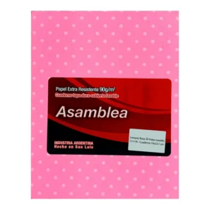 CUADERNO 19X23.5 ASAMBLEA LUNARES ROSA 50 HS RAYADO