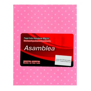 CUADERNO 19X23.5 ASAMBLEA LUNARES ROSA 98 HS RAYADO