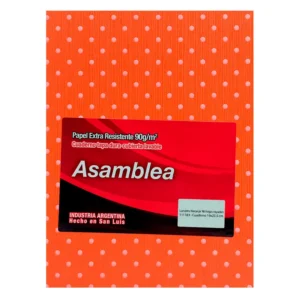 CUADERNO 19X23.5 ASAMBLEA LUNARES NARANJA 98 HS RAYADO
