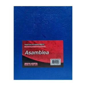 CUADERNO 19X23.5 ASAMBLEA ARAÑA AZUL 50 HS RAYADO