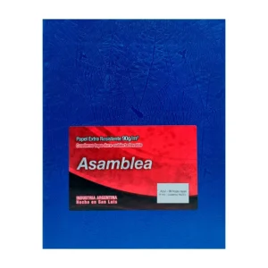 CUADERNO 19X23.5 ASAMBLEA ARAÑA AZUL 98 HS RAYADO