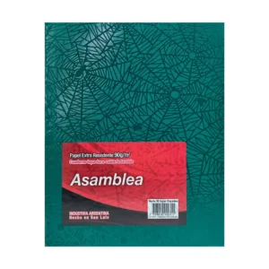 CUADERNO 19X23.5 ASAMBLEA ARAÑA VERDE 50 HS RAYADO