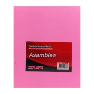 CUADERNO 19X23.5 ASAMBLEA ARAÑA ROSA 50 HS RAYADO