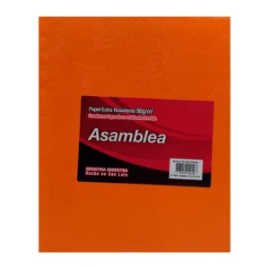 CUADERNO 19X23.5 ASAMBLEA ARAÑA NARANJA 50 HS RAYADO