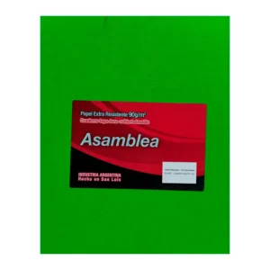 CUADERNO 19X23.5 ASAMBLEA ARAÑA VERDE MANZANA 50 HS RAYADO
