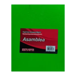 CUADERNO 19X23.5 ASAMBLEA ARAÑA VERDE MANZANA 98 HS RAYADO