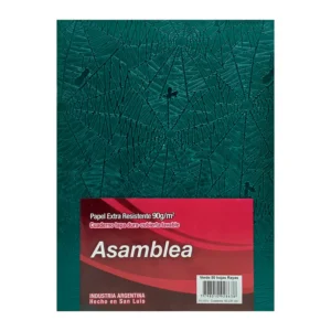 CUADERNO 16X21 ASAMBLEA ARAÑA VERDE 50 HS RAYADO