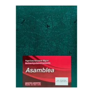 CUADERNO 16X21 ASAMBLEA ARAÑA VERDE 194 HS RAYADO