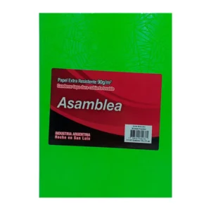 CUADERNO 16X21 ASAMBLEA ARAÑA VERDE MANZANA 50 HS RAYADO