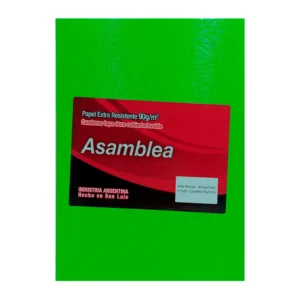 CUADERNO 16X21 ASAMBLEA ARAÑA VERDE MANZANA 98 HS RAYADO
