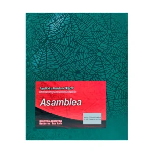 CUADERNO 19X23.5 ASAMBLEA ARAÑA VERDE 50 HS CUADRICULADO