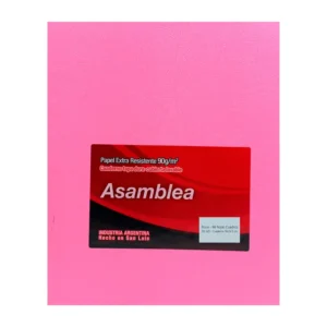 CUADERNO 19X23.5 ASAMBLEA ARAÑA ROSA 98 HS CUADRICULADO