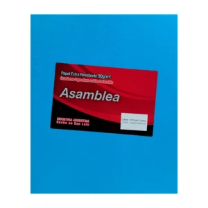 CUADERNO 19X23.5 ASAMBLEA ARAÑA CELESTE 98 HS CUADRICULADO