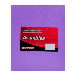 CUADERNO 19X23.5 ASAMBLEA ARAÑA LILA 98 HS CUADRICULADO