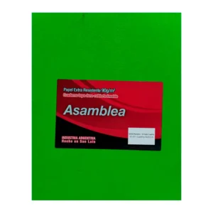 CUADERNO 19X23.5 ASAMBLEA ARAÑA VERDE MANZANA 50 HS CUADRICULADO