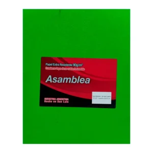 CUADERNO 19X23.5 ASAMBLEA ARAÑA VERDE MANZANA 98 HS CUADRICULADO