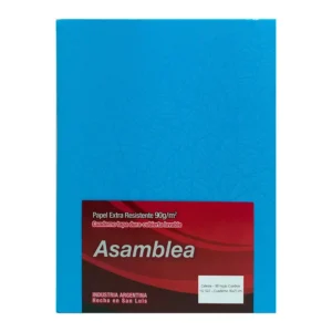 CUADERNO 16X21 ASAMBLEA ARAÑA CELESTE 98 HS CUADRICULADO