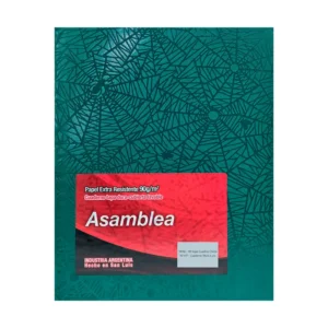 CUADERNO 19X23.5 ASAMBLEA ARAÑA VERDE 98 HS CUADRICULADO CHICO