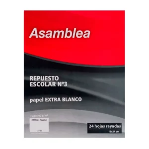 REPUESTO ASAMBLEA 24 HS RAYADO