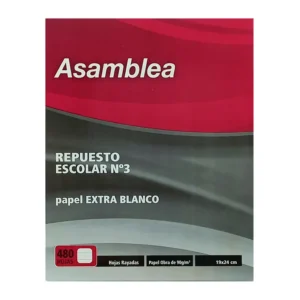 REPUESTO ASAMBLEA 480 HS RAYADO