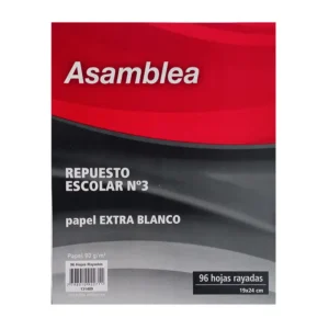 REPUESTO ASAMBLEA 96 HS CUADRICULADO