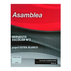 REPUESTO ASAMBLEA 200 HS CUADRICULADO