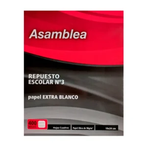 REPUESTO ASAMBLEA 400 HS CUADRICULADO