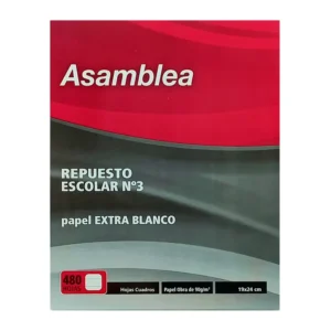 REPUESTO ASAMBLEA 480 HS CUADRICULADO