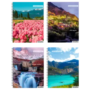 CUADERNO ASAMBLEA PAISAJES DE ARGENTINA S PUN-S PERF 21 X 29.7 ESP 80 HR
