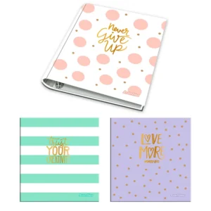 CARPETA 3X40 CLASSIC