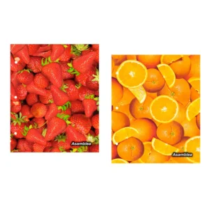 CARPETA N3 FRUTAS