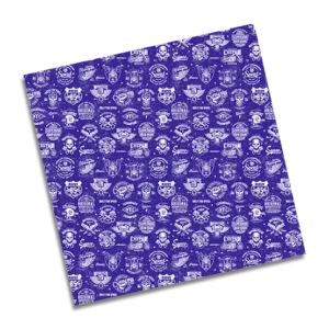 PAPEL DE REGALO 70 X 100 RIDERS