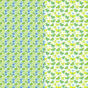 CARTULINA ENTRETENDIA MATE CORAZÓN MARIPOSA VERDE 50X65